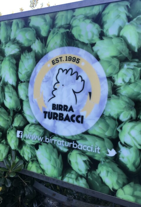 Turbacci